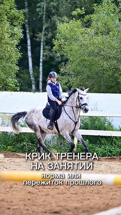 Искусство обучения в конном спорте — КСК Середниково