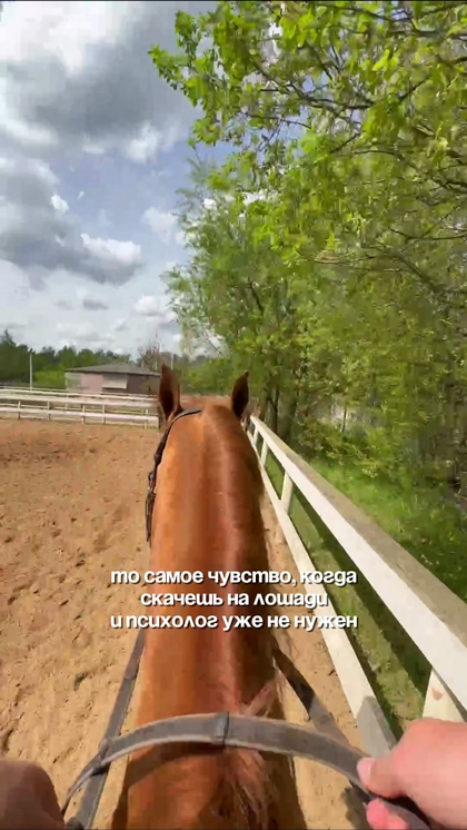 Конные прогулки в Подмосковье — КСК Середниково