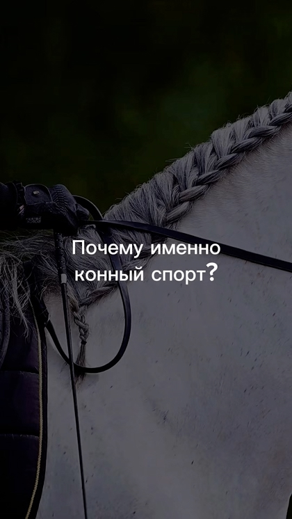 Конные прогулки в Подмосковье — КСК Середниково