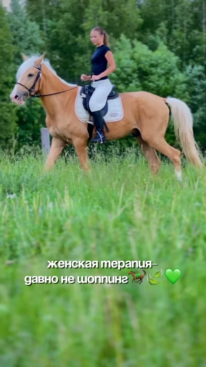 Конные прогулки в «Середниково»: встреча с природой — КСК Середниково