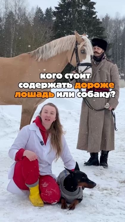 Лошадь или собака: сравниваем заботу и расходы — КСК Середниково