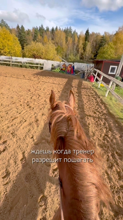 Новое видео клуба от 17.10.2026 — КСК Середниково