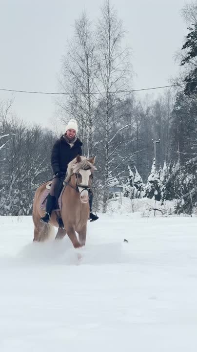 Новое видео клуба от 26.01.2026 — КСК Середниково