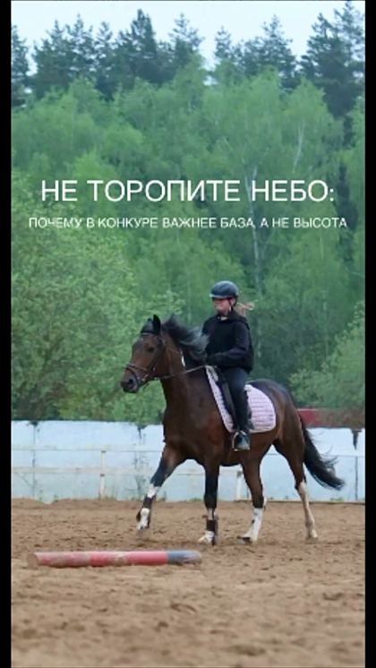 Прыжок без базы: почему спешка опасна — КСК Середниково