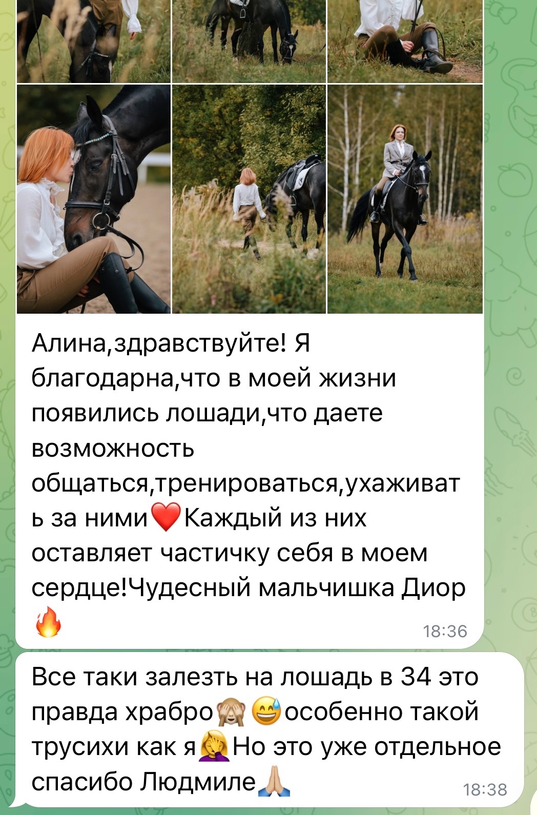 Радость общения с лошадьми: отзывы наших гостей — фото КСК Середниково